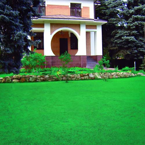 Газон Для солнечных мест изображение 1 артикул 66052