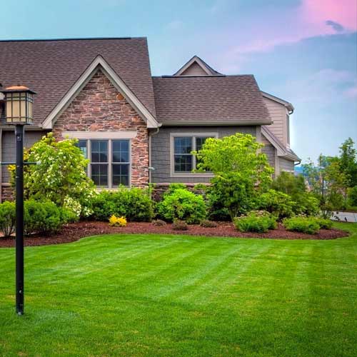 Газон Коттедж, семена изображение 1 артикул 66184