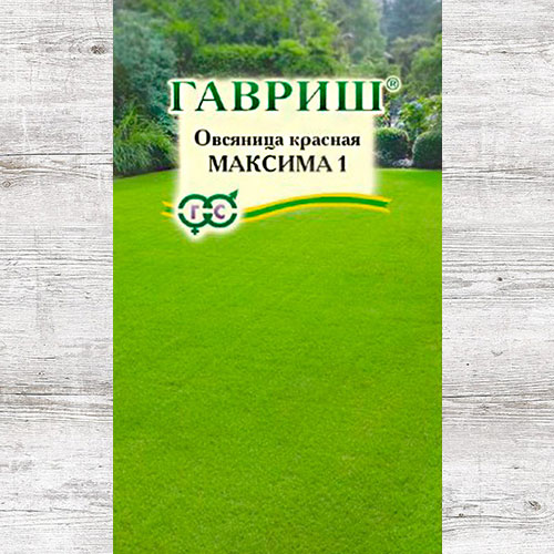 Газон овсяница красная Максима Гавриш изображение 1 артикул 85024