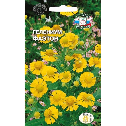 Гелениум Фаэтон Седек изображение 1 артикул 93735