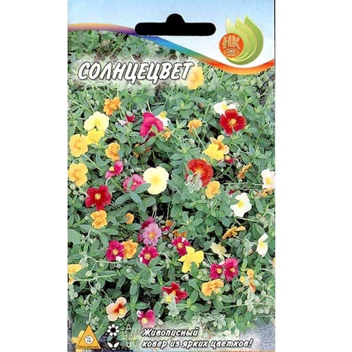 Гелиантемум (солнцецвет), смесь окрасок НК изображение 1 артикул 92493