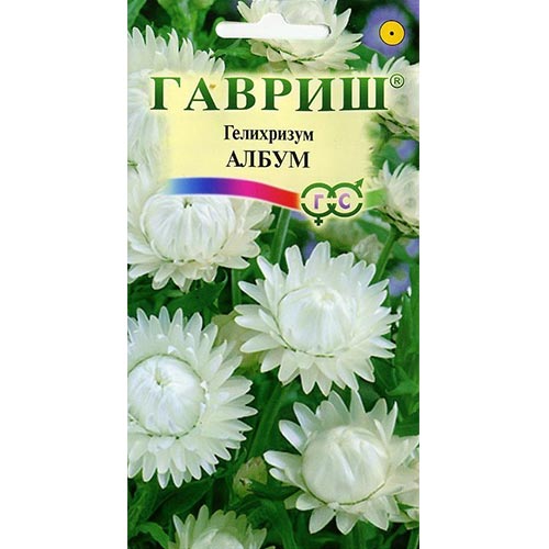 Гелихризум Албум Гавриш изображение 1 артикул 92010