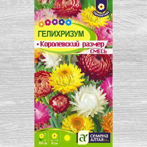 Гелихризум Королевский размер, смесь окрасок артикул фото 1 Гелихризум Королевский размер, смесь окрасок изображение 1 артикул 83203