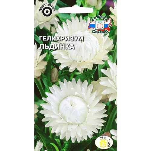 Гелихризум Льдинка Седек изображение 1 артикул 93741