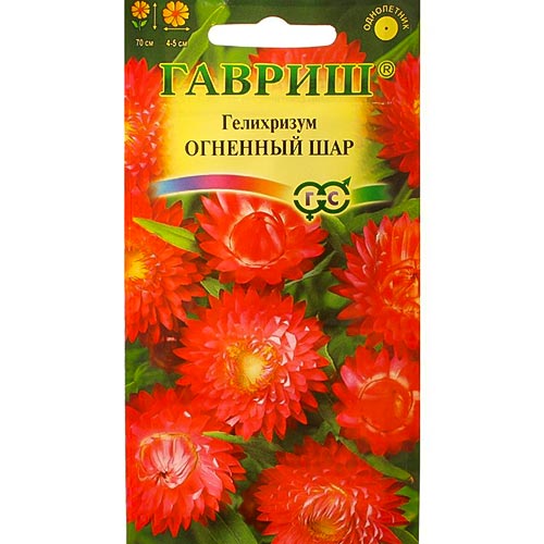 Гелихризум Огненный шар Гавриш изображение 1 артикул 92011