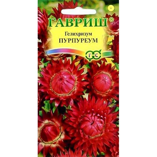 Гелихризум Пурпуреум Гавриш изображение 1 артикул 92012