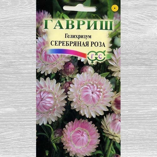 Гелихризум Серебряная роза Гавриш артикул фото 1 Гелихризум Серебряная роза Гавриш изображение 1 артикул 73825