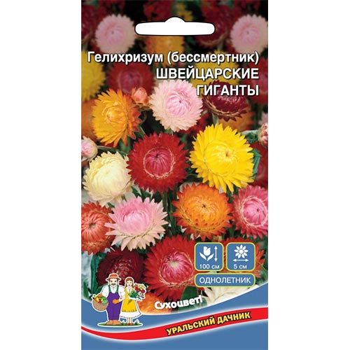 Гелихризум Швейцарские гиганты, смесь окрасок Уральский дачник изображение 1 артикул 94779