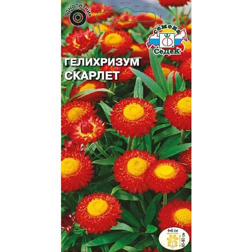 Гелихризум Скарлет Седек изображение 1 артикул 93742
