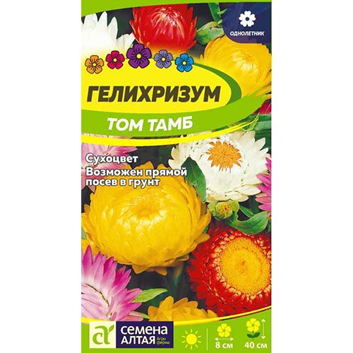 Гелихризум Том Тамб, смесь окрасок Семена Алтая изображение 1 артикул 94159