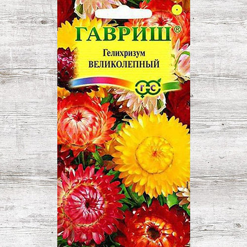 Гелихризум Великолепный, смесь окрасок Гавриш изображение 1 артикул 66058