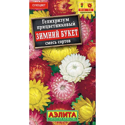 Гелихризум Зимний букет, смесь окрасок Аэлита изображение 1 артикул 98929