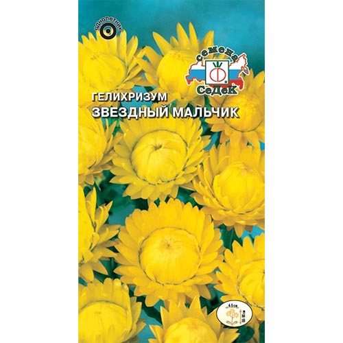 Гелихризум Звездный мальчик Седек изображение 1 артикул 93739