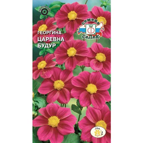 Георгина Царевна Будур Седек изображение 1 артикул 93746