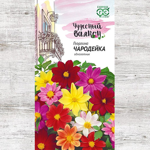 Георгина Чародейка, смесь окрасок Гавриш изображение 1 артикул 73827