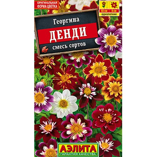 Георгина Денди, смесь окрасок Аэлита изображение 1 артикул 98932