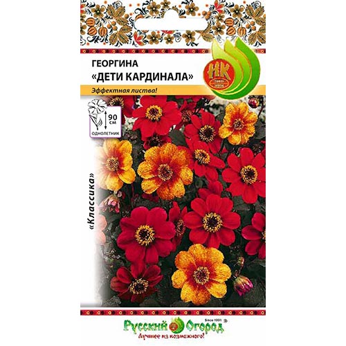 Георгина Дети Кардинала, смесь окрасок НК изображение 1 артикул 92496