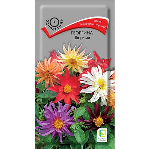Георгина До-ре-ми, смесь окрасок Поиск изображение 1 артикул 92943