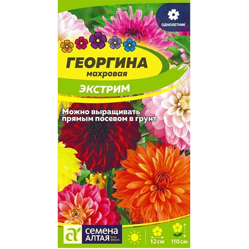 Георгина Экстрим, смесь окрасок Семена Алтая артикул фото 1 Георгина Экстрим, смесь окрасок Семена Алтая изображение 1 артикул 84810