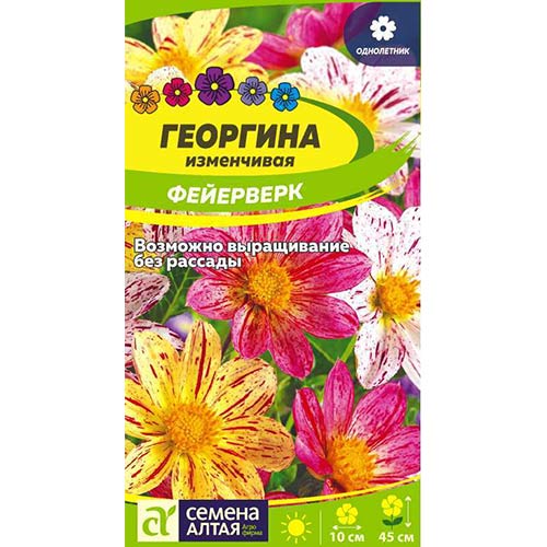 Георгина Фейерверк, смесь окрасок Семена Алтая артикул фото 1 Георгина Фейерверк, смесь окрасок Семена Алтая изображение 1 артикул 78144
