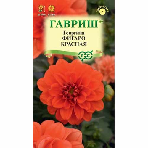 Георгина Фигаро красная Гавриш артикул фото 1 Георгина Фигаро красная Гавриш изображение 1 артикул 87990