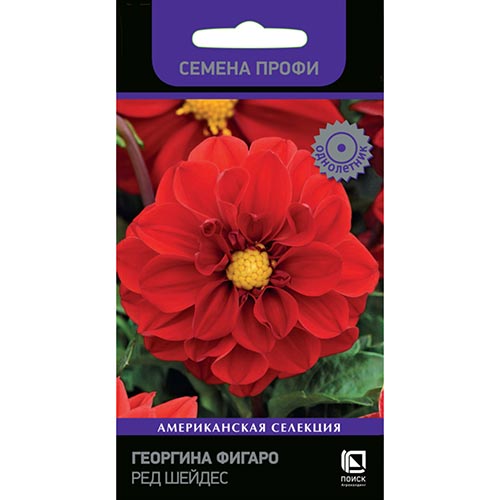 Георгина Фигаро Ред Шейдес Поиск изображение 1 артикул 92945