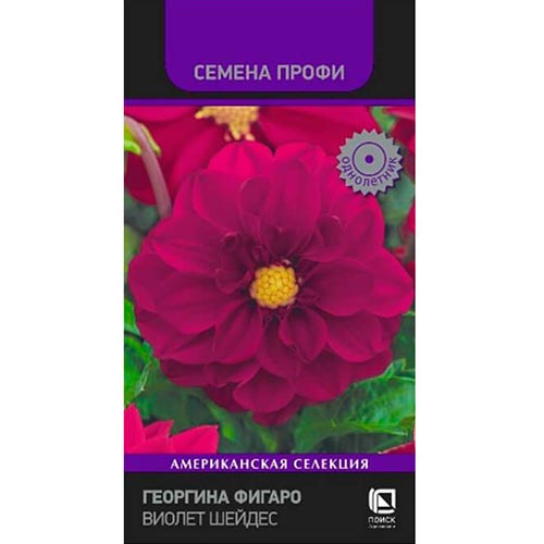 Георгина Фигаро Виолет Шейдес Поиск изображение 1 артикул 92944