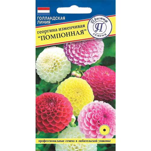 Георгина изменчивая Помпонная, смесь окрасок Престиж изображение 1 артикул 65826