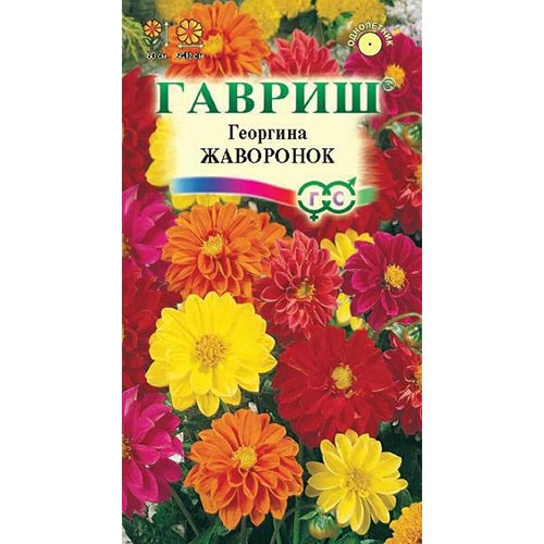 Георгина Жаворонок, смесь окрасок Гавриш изображение 1 артикул 92014