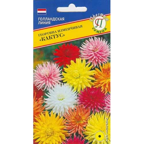 Георгина изменчивая Кактус, смесь окрасок Престиж изображение 1 артикул 71430