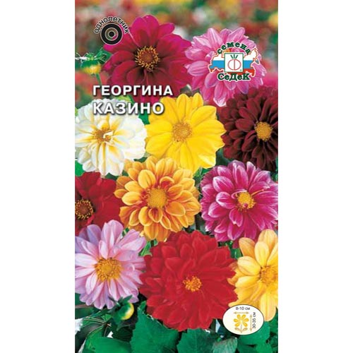 Георгина Казино, смесь окрасок Седек изображение 1 артикул 93744