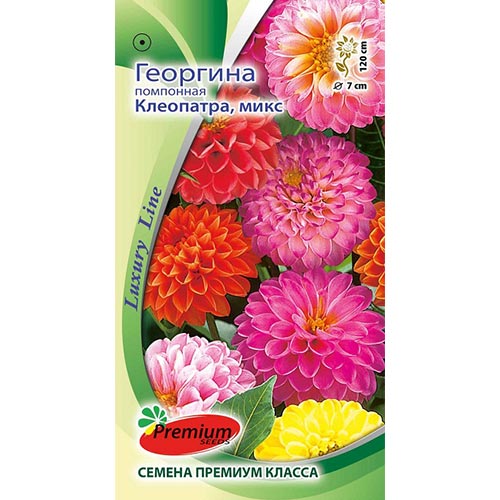 Георгина Клеопатра, смесь окрасок Premium Seeds изображение 1 артикул 93195