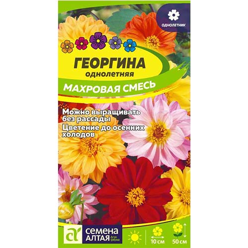 Георгина Махровая, смесь окрасок Семена Алтая артикул фото 1 Георгина Махровая, смесь окрасок Семена Алтая изображение 1 артикул 78142