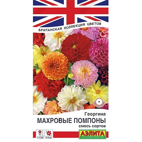 Георгина Махровые помпоны, смесь окрасок Аэлита изображение 1 артикул 40334