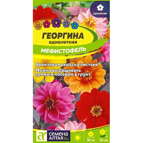 Георгина Мефистофель, смесь окрасок Семена Алтая артикул фото 1 Георгина Мефистофель, смесь окрасок Семена Алтая изображение 1 артикул 84809