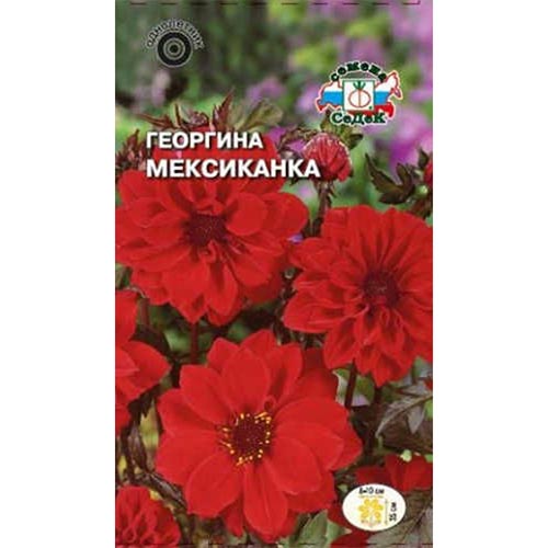 Георгина Мексиканка Седек артикул фото 1 Георгина Мексиканка Седек изображение 1 артикул 93745