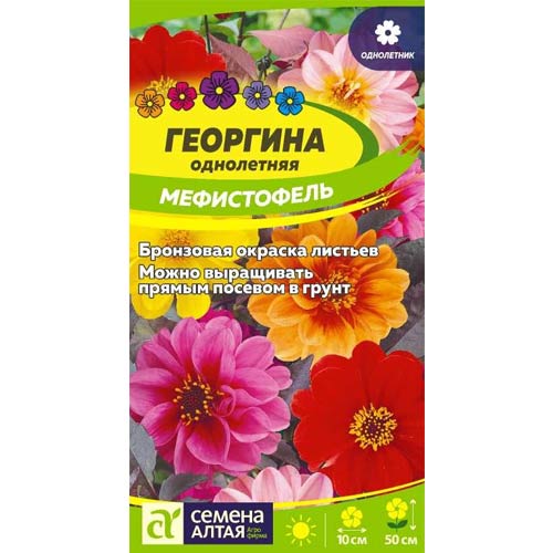 Георгина Мигнон, смесь окрасок Семена Алтая артикул фото 1 Георгина Мигнон, смесь окрасок Семена Алтая изображение 1 артикул 81648