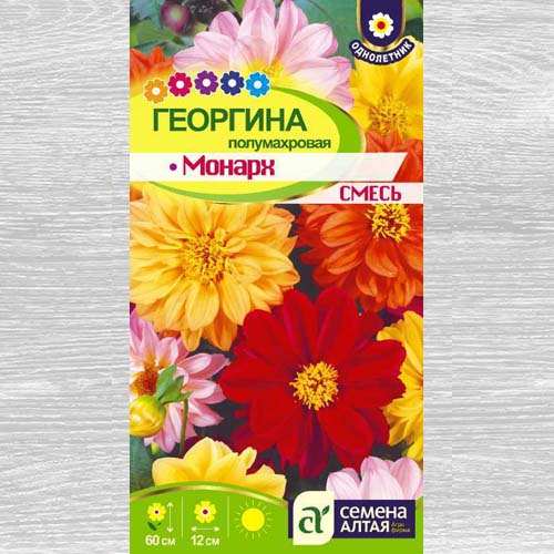 Георгина Монарх, смесь окрасок артикул фото 1 Георгина Монарх, смесь окрасок изображение 1 артикул 78143