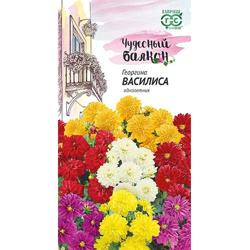 Георгина Василиса, смесь окрасок Гавриш изображение 1 артикул 92013