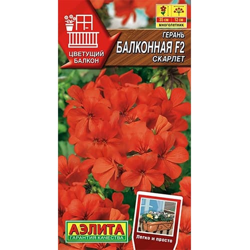 Герань Балконная скарлет F2 Аэлита изображение 1 артикул 40337