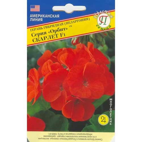 Герань гибридная Орбит Скарлет F1 Престиж артикул фото 1 Герань гибридная Орбит Скарлет F1 Престиж изображение 1 артикул 81340