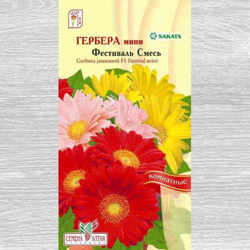 Гербера мини Фестиваль, смесь окрасок изображение 1 артикул 78219