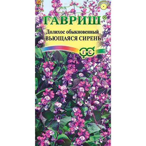 Гиацинтовые бобы (долихос) Вьющаяся сирень Гавриш изображение 1 артикул 92015