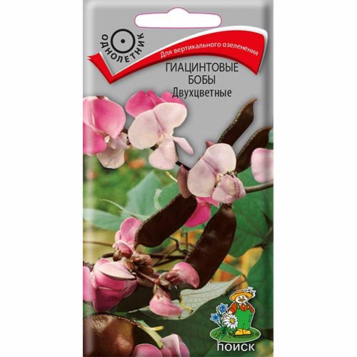 Гиацинтовые бобы Двухцветные изображение 1 артикул 74284