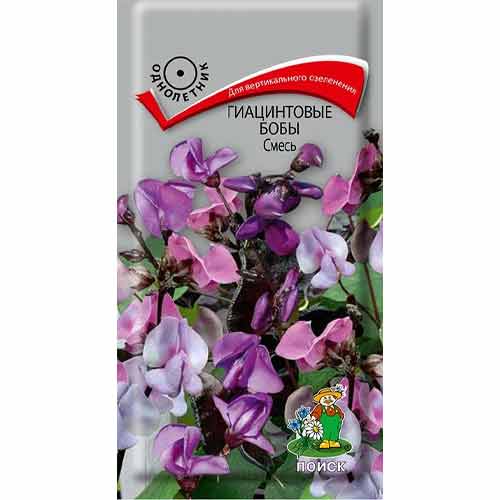Гиацинтовые бобы, смесь окрасок Поиск изображение 1 артикул 82110