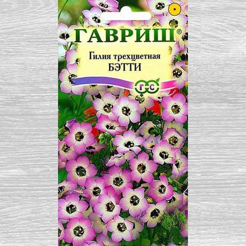 Гилия Бэтти Гавриш изображение 1 артикул 73829