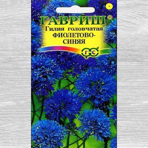 Гилия Фиолетово-синяя Гавриш изображение 1 артикул 73828