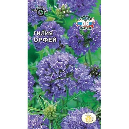 Гилия Орфей Седек изображение 1 артикул 93749