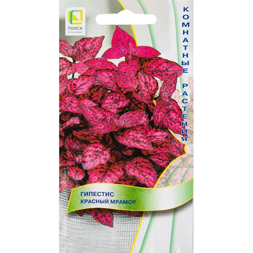 Гипестис Красный мрамор Поиск изображение 1 артикул 92947