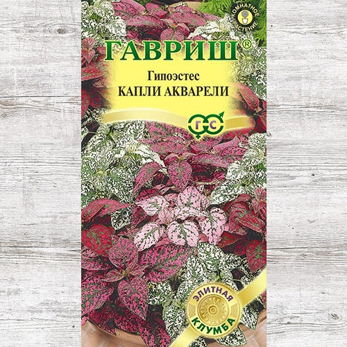 Гипоэстес Капли акварели, смесь окрасок Гавриш артикул фото 1 Гипоэстес Капли акварели, смесь окрасок Гавриш изображение 1 артикул 71173